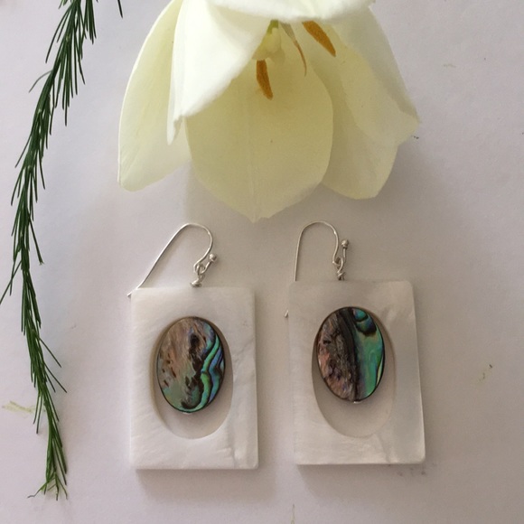 Abalone and Mother of Pearls earrings.✨ - Picture 1 of 7